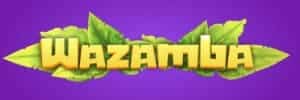 Mega app
